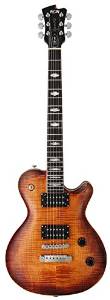 FUJIGEN EFL-FM VV