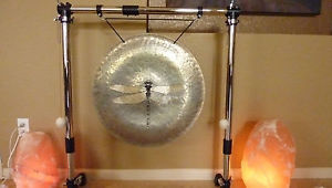 Paiste Gong Dragonfly Custom Creation 23-3/4" diameter Bronze Alloy Beautiful