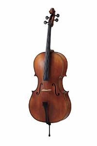 Carlo Giordano cello outfit SC-160 1/8