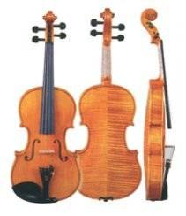 Professional Violin