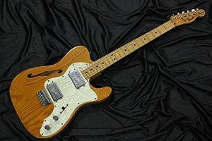 Free Shipping Used Fender USA Telecaster Thinline 1973 Guitar