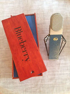 Blue Blueberry (micro mic akg c414 c 214 neumann U87  TLM 103  shure sm7...)