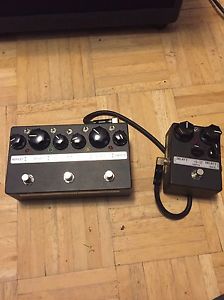 TONECZAR ECHOCZAR ANALOG DELAY PEDAL 2015 With ANGEL BABY Excellent Condition