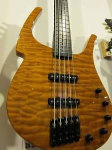 Parker Fly Bass FB5 Used  w/ Gigbag