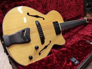 D'Aquisto DQ-CRE Centura Electric Semi-Hollow Mod