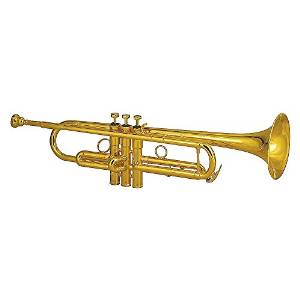 Schilke S Series Custom Bb Trumpet S42 - M Bore ML Bell (S42 - M Bore ML Bell)