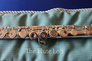 Di Zhao 400 Intermediate Flute, silver handcarved headjoint - Comes w/Warranty