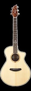 Breedlove Pursuit Concert 25th Anniversary