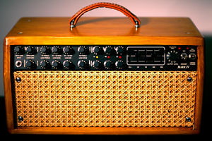 Mesa Boogie Mark IV Pinewood Head (short Head)