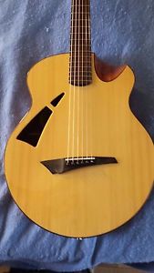 AVIAN SKYLARK Acoustic Electric Guitar OHSC Taylor competitior