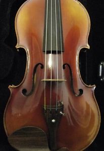 Violini