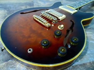 Free Shipping Used Ibanez AM 205 Electric Guitar
