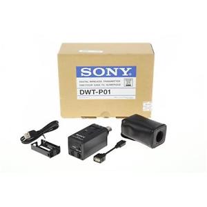 Sony Dwtp01 E304