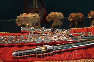 Di Zhao DZ-300BOF Intermediate Flute - Comes w/Warranty