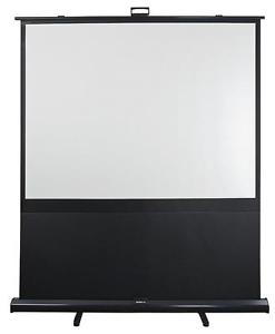 PORTABLE PROJECTION SCREEN 80