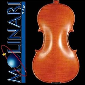 Molinari Romanian 4/4 Size Intermediate Violin Outfit (Oil Finish, Wood Bow,