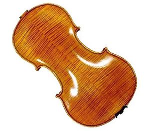 Molinari Romanian 4/4 Size Professional Violn Outfit (Oil Finish, Wood Bow,