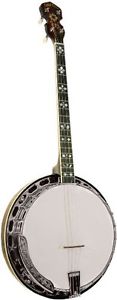 Gold Tone TS-250 Tenor Special Tenor Banjo (Vintage Brown)