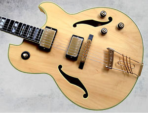 [USED] Ibanez PM120 Pat Metheny Signature hollow body,  Electric guitar