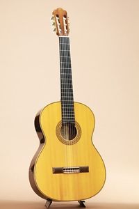 Wataru Tsuji S-2/S 2002 Guitar USED w/Hardcase FREE SHIPPING from Japan #R1261