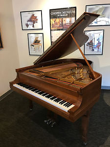 Steinway - 5'7" (170 cm) Model M Walnut. Motivated to sell. Restored in 2016