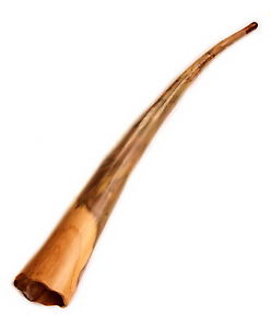 Didgeridoo from green Gibiscus wood 214 cm - D