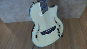 *NEW* DreamBow Nashville-12 Semi Acoustic 12 String Guitar W/HSC