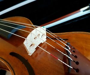 Violine 4/4 (5 Saiten)