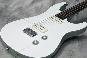 YAMAHA RGX-A2 WAG w/SoftCase From Japan Used #U145