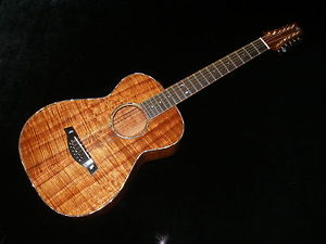 CUSTOM PEGASUS 12-STRING HAWAIIAN GUITAR / Offers Welcome!
