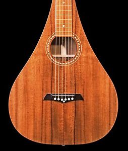 Weissenborn Teardrop style 1.5