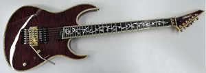 EDWARDS E-CY-165CTM Used ED0815238 w/ Gigbag