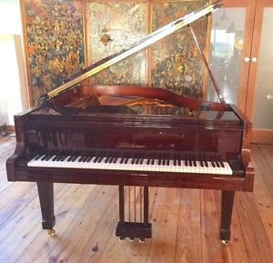 Bluthner Baby Grand Model 10 Fiddleback Mahogany High Gloss 5ft 3in 1988
