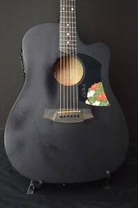 Cole Clark FL2AC Used w / Hard case