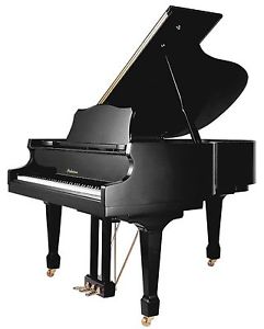 Flügel Stutzflügel Grand Piano Klavier schwarz