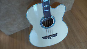 *NEW* DreamBow DJBF-405SCE 4 String Acoustic/Electric Bass W/HSC