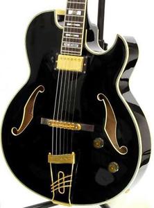 IBANEZ Pat Metheny Signature PM-100 F96435