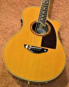 Yamaha APX-10TS Used w / Hard case