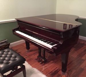 Hailun Grand Piano Model 198 6'5" (2010) - (Also Steinway Available)