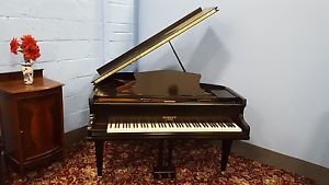 Reconditioned,Vintage, Black,"Robert Morley" Baby Grand Piano.CAN DELIVER
