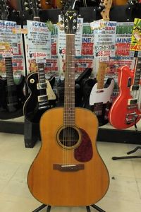 K.Yairi SY-5 Natural w/hard case Free shipping Guiter Bass From JAPAN #F215