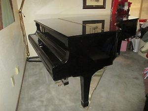 Yamaha C7 1978 Concert Grand 7' 4 inch JUST Inspected BY TECH in A+ Condition