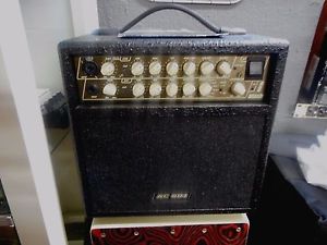 DV Mark AC601 Acoustic Guitar Amp 250W!!! ***REDUCED***