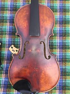 Violin Violon Geige Nicolas Bertolini