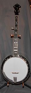 STELLING SWALLOWTAIL 5 STRING BANJO