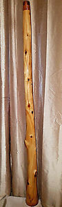 HOLIDAY SALE Aspen 62" Didgeridoo Yidaki from My Collection in D w/ F & C# Toots
