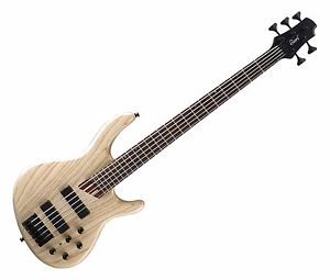 Basse CORT B5 neuve.