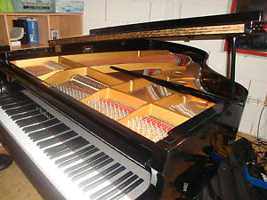 Kawai Flügel,  Klavier