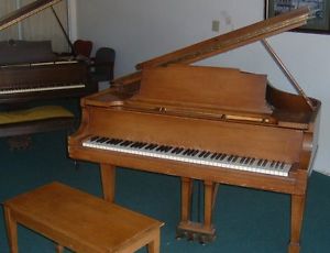 1922 (Ser#210177) Steinway & Sons Model M (5'7") Walnut Grand with Bench