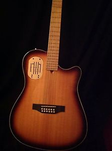 Godin 12 Strings Gitarre